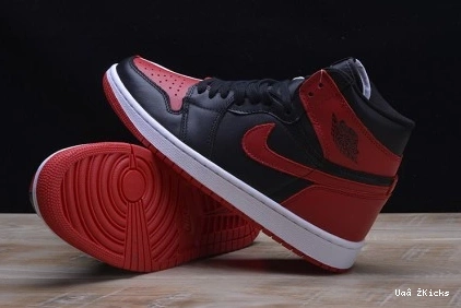 JORDAN 1 RETRO Flexible AIR 285 1106